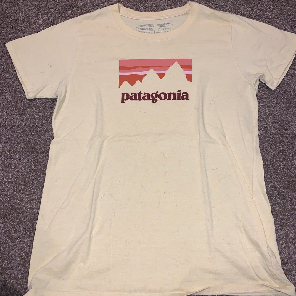 Women’s Patagonia t-shirt